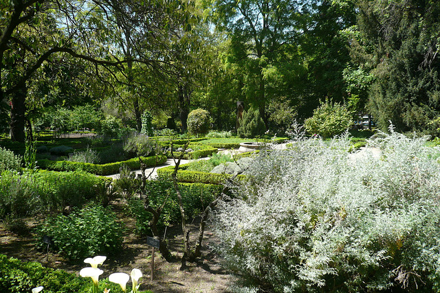 Royal Botanic Gardens