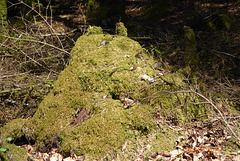 drôle de "bête" drôle de "bête"