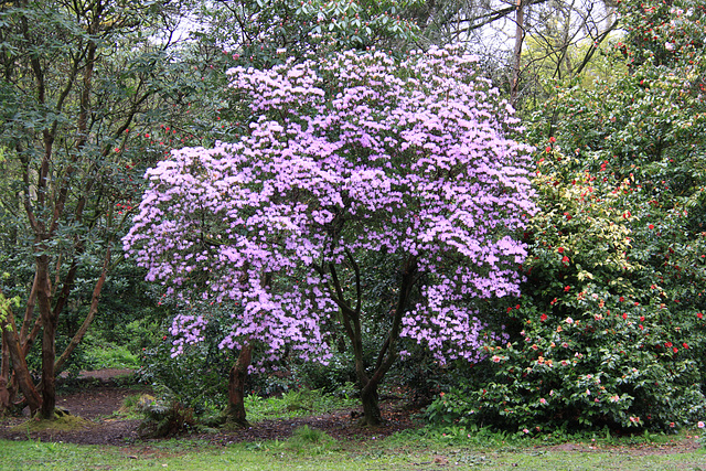 Cefn Onn Park