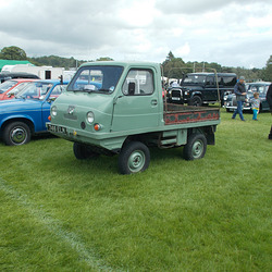 STTES[22] - Haflinger