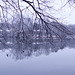 Panorama of the lake in the snow