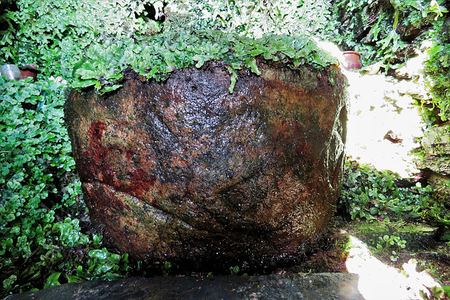st non's well (16)