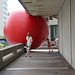 12/50 redball project jour 2, allez! pousse