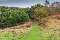 a track to the moors from Crowden station