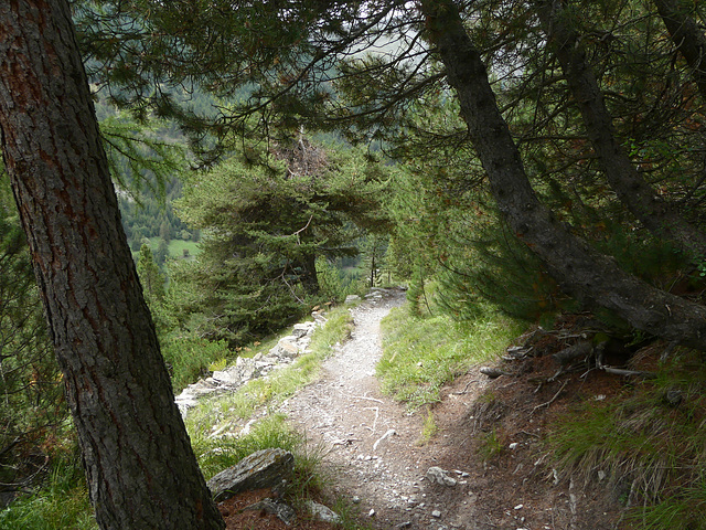 20220828 -11 Ubaye (Alpes de Haute Provence) (471)