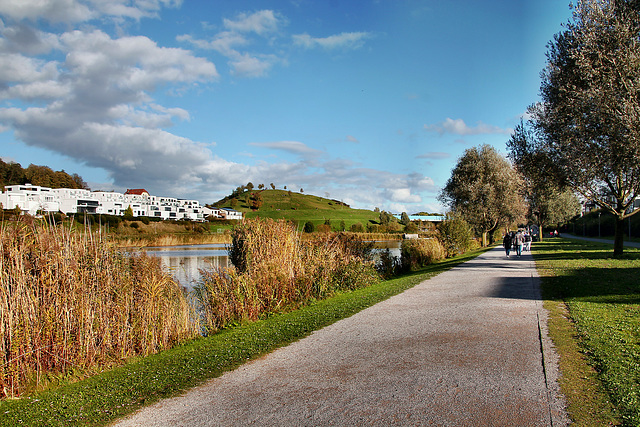 Weg am Südufer des Phoenix-Sees (Dortmund-Hörde) / 21.10.2023