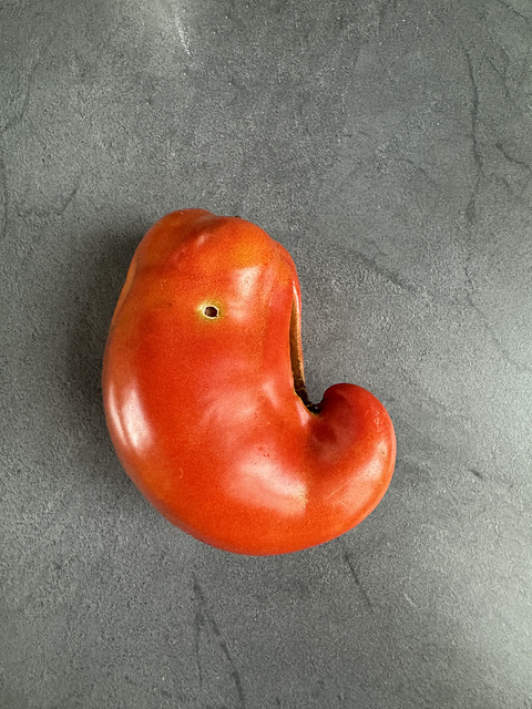 Tomate TÊTE D’ÉLÉPHANT