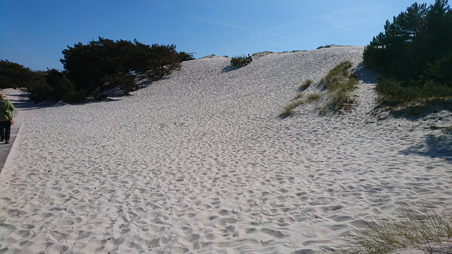 Sanddyner Dueodde, Bornholm