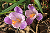 For you my friends