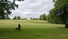 A couple with their dog