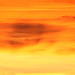 Sonnenuntergang - coucher du solei - sunset - fire on the sky