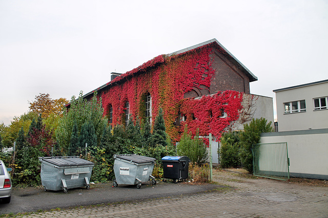 "Kaisersaal", ehemals Maschinenhalle von Schacht Hannibal 2 (Wanne-Eickel) / 17.10.2016