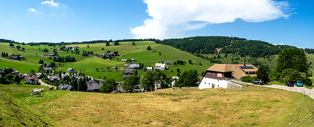 Hofsgrund, Schwarzwald