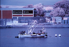 River Adur