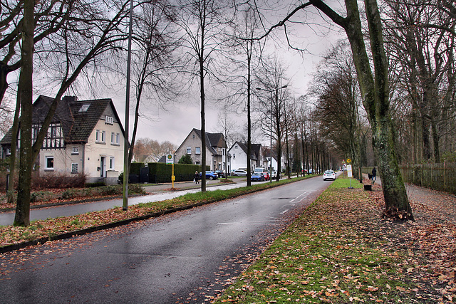 Arenbergstraße (Gladbeck-Zweckel) / 24.12.2022