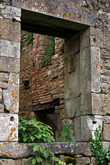 Chambre d'hôtes en fin d'achèvement des travaux de rénovation , la preuve , les plantes sur le bord des fenêtres.