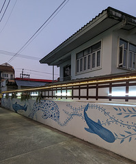 Clôture aquariumisée / Fish on fence