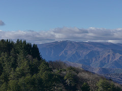 20241220 Col del'Asclier (Cévennes) (13)