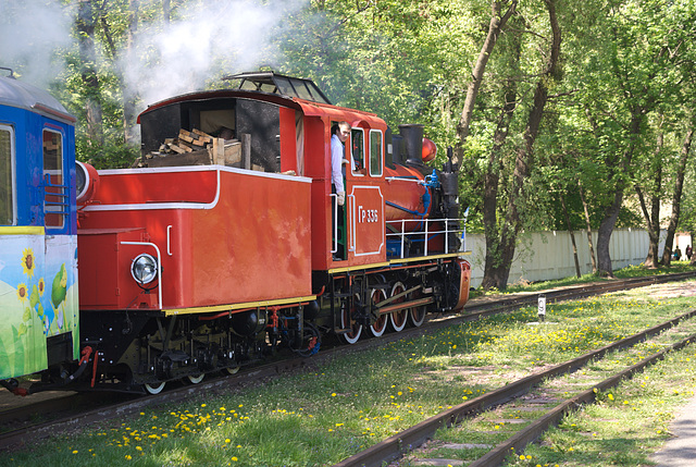 Der Zug fährt am Bahnhof Wyschenka ab