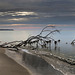 Abendstimmung am Weststrand