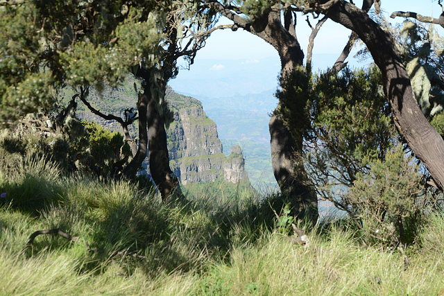 Ethiopia, In the Simien Mountains National Park