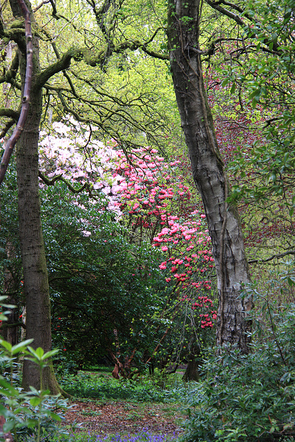 Cefn Onn Park