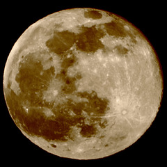 EOS 90D Peter Harriman 19 01 19 76174 fullMoon dpp