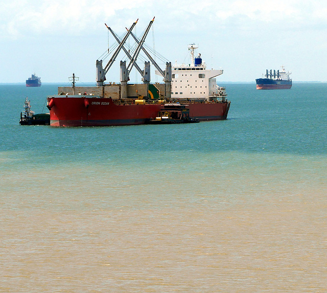 Bulk Carrier and Brown Water