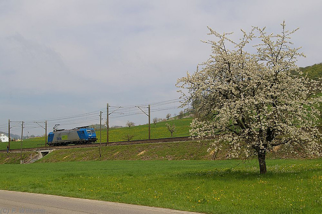 BÖ0032937 BÖ0032937