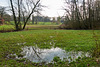 wiese-1220137-co-03-12-15