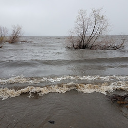 20190409 124653 001 20190409 124653 001