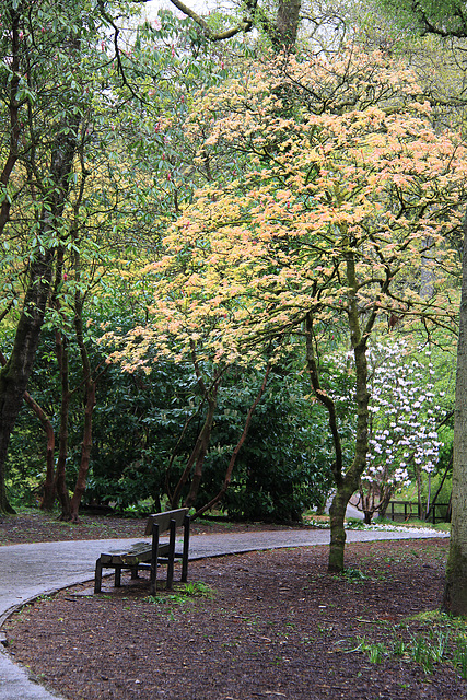 Cefn Onn Park