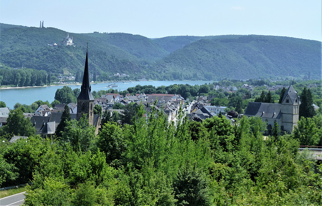 Blick auf Rhens