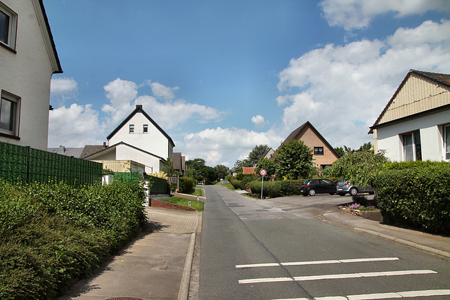 Feldstraße (Fröndenberg-Ardey) / 11.06.2022