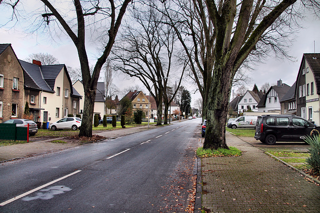 Tunnelstraße (Siedlung Zweckel, Gladbeck-Zweckel) / 24.12.2022