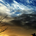 Sky and Chimneys