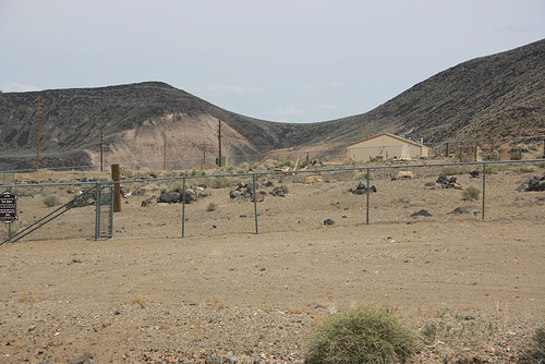 IMG 9629