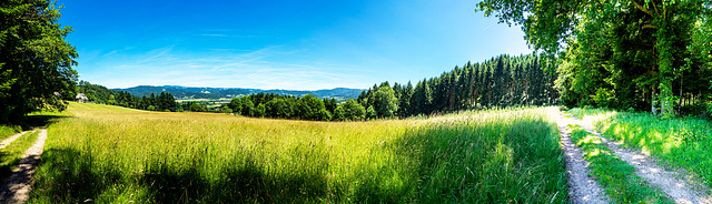 Blick vom Pfeiferberg in das Dreisamtal