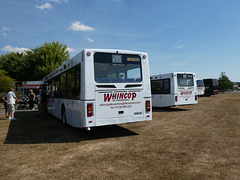 Whincop's Coaches at Stonham Barns 'Big Bus Show' - 14 Aug 2022 (P1130050)