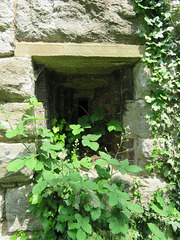 coalhouse fort, east tilbury, essex