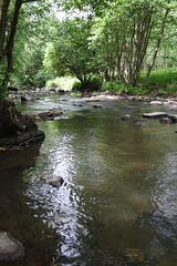 Le Rouvre