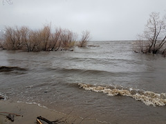 Washoe Lake