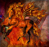 Cheval de feu***********