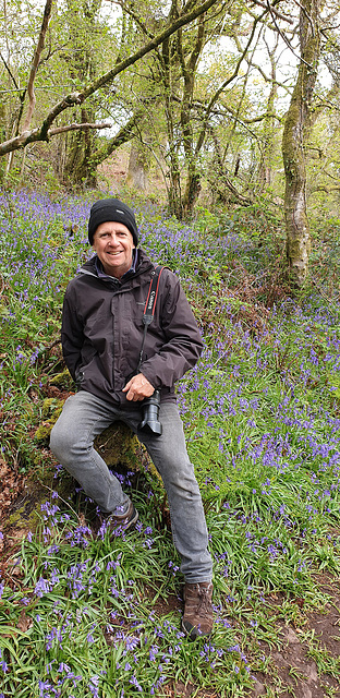 Bluebell Walk