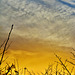 Sky and Chimneys