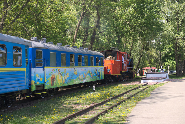 Der Zug fährt am Bahnhof Wyschenka ab