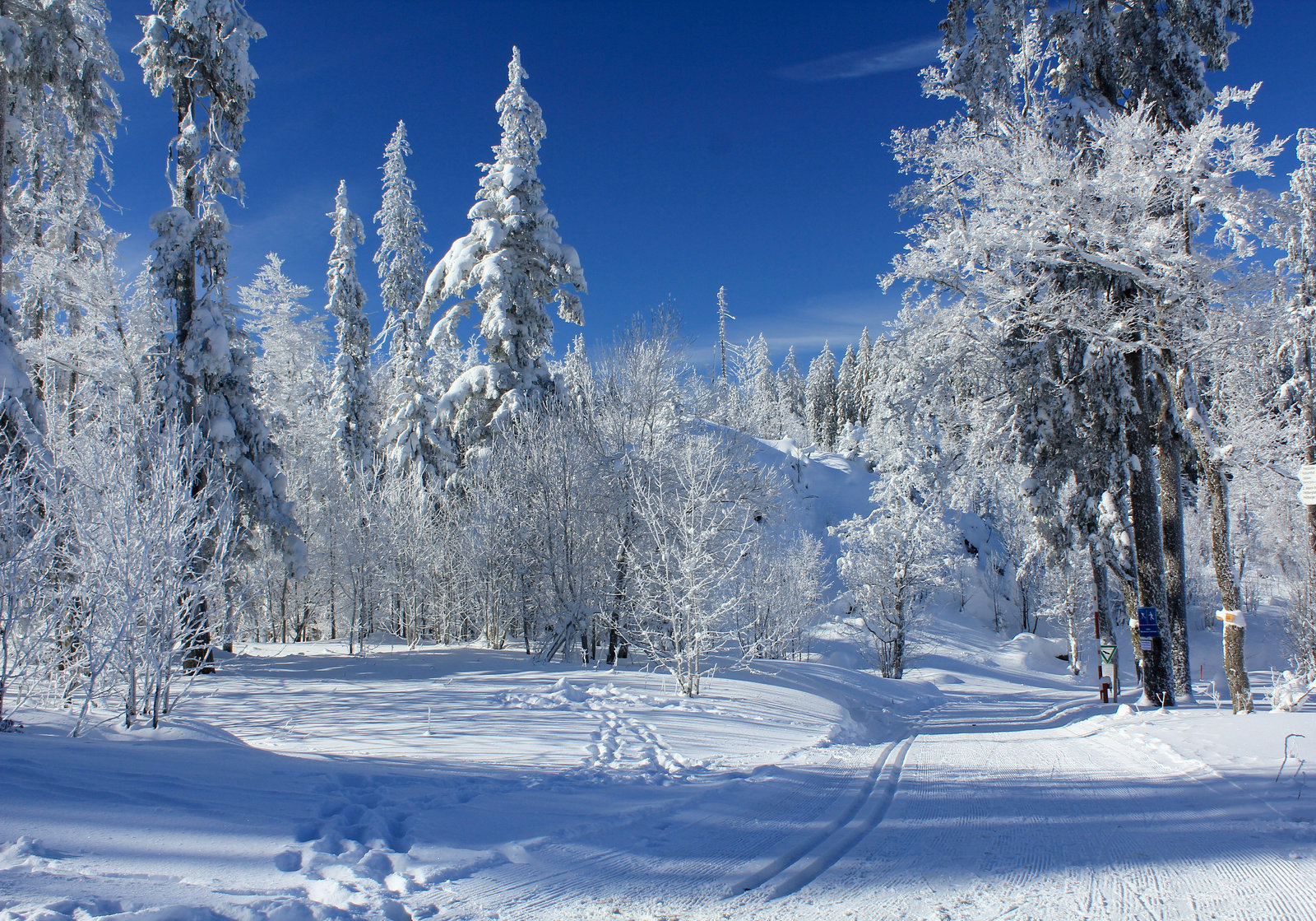 Wintermärchen auf dem Feldberg