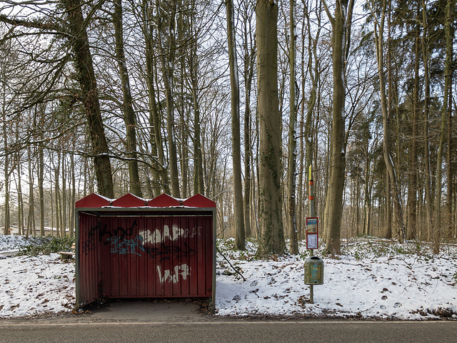 Bus stop (06.02.2018)