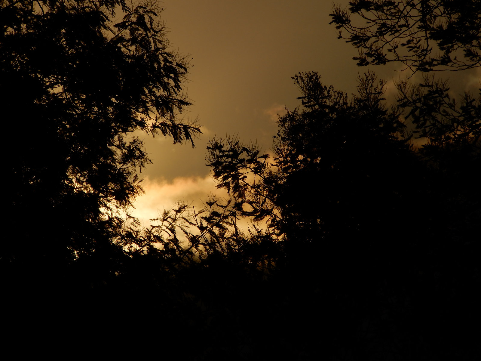 le soleil se couche dans son écrin de verdure