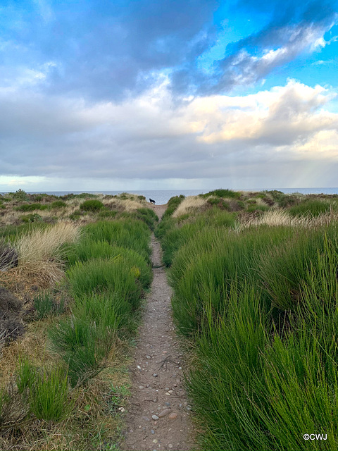 The Moray Coastal Trail - Findhorn Beach and sand dunes section